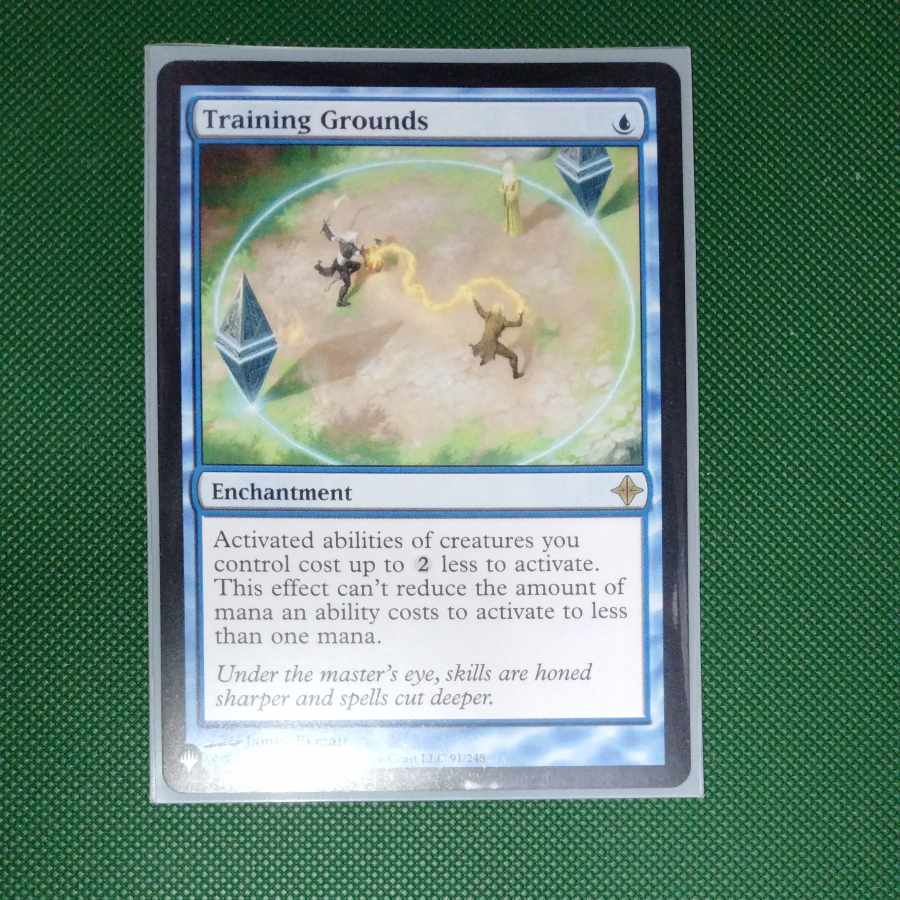 Training Grounds Rare 91/248 The Squirrelto English