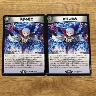 秩序の意志 R 35/110