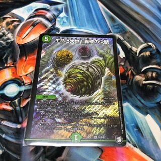 Life Life, Earth and Roaring Decision SR S12/S12