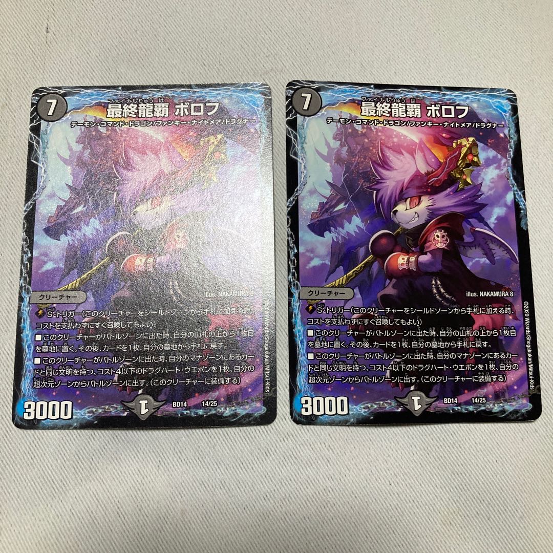 Final Dragon Heights Borov 14/25