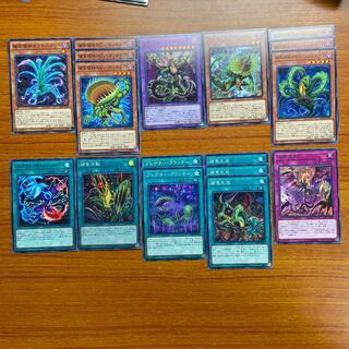 捕食植物デッキパーツ