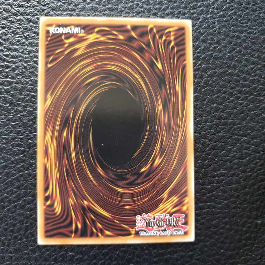 遊戯王 ブラッドローズドラゴン  英語 プリシク　tin2022