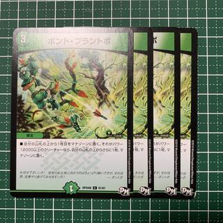 Bont Plantivo C 61/61 4 sheets