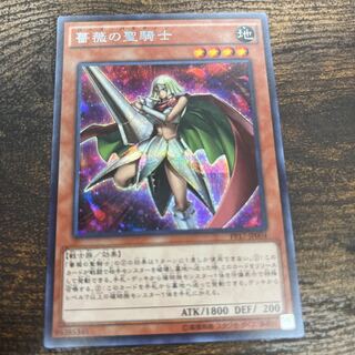 Rose Paladin Secret Rare JP004
