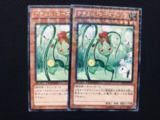 ナチュルローズウィップ レアパラ（DTC2）3枚セット 遊戯王 ナチュル・ローズウィップ 字レア パラレル DTC 良品