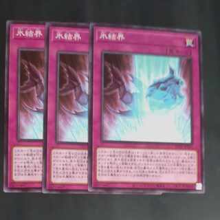 Ice Barrier Normal JP013✕3