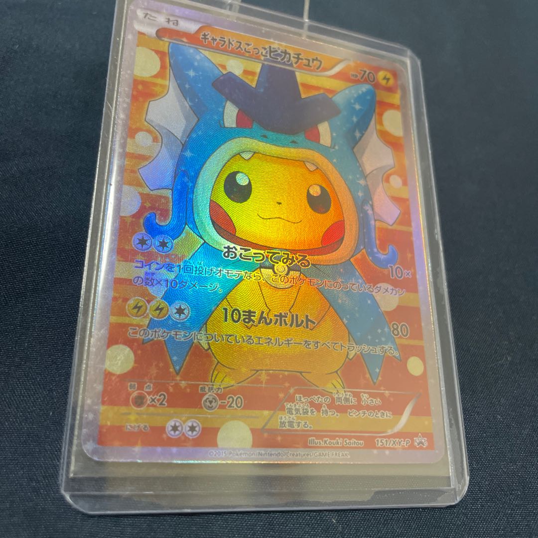 Gyarados Pikachu