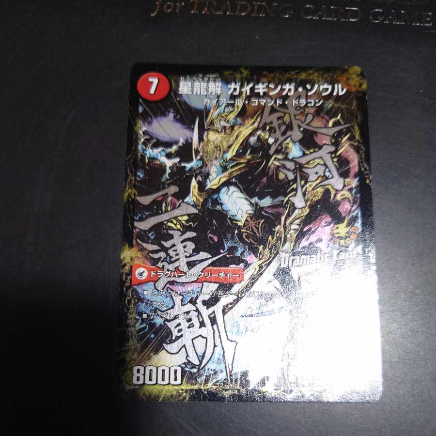 Galactic Sword Protoheart｜Gaiginga Soul (Dramatic Card) P18a/Y13｜P18b/Y13