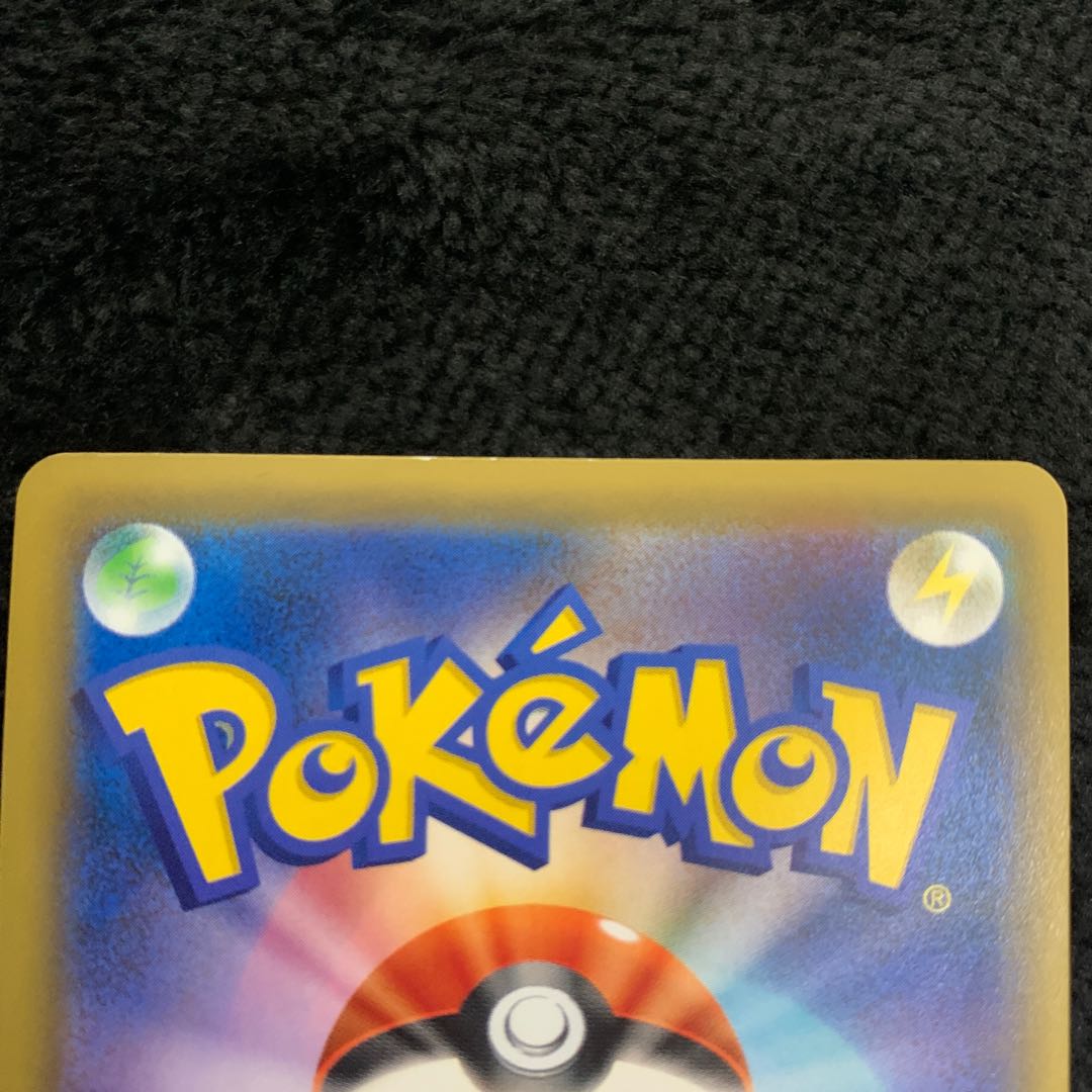 Erika's Hospitality SR 190/173