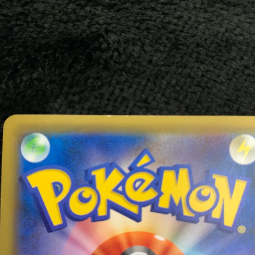 Erika's Hospitality SR 190/173