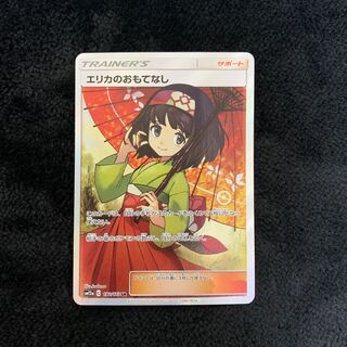 Erika's Hospitality SR 190/173