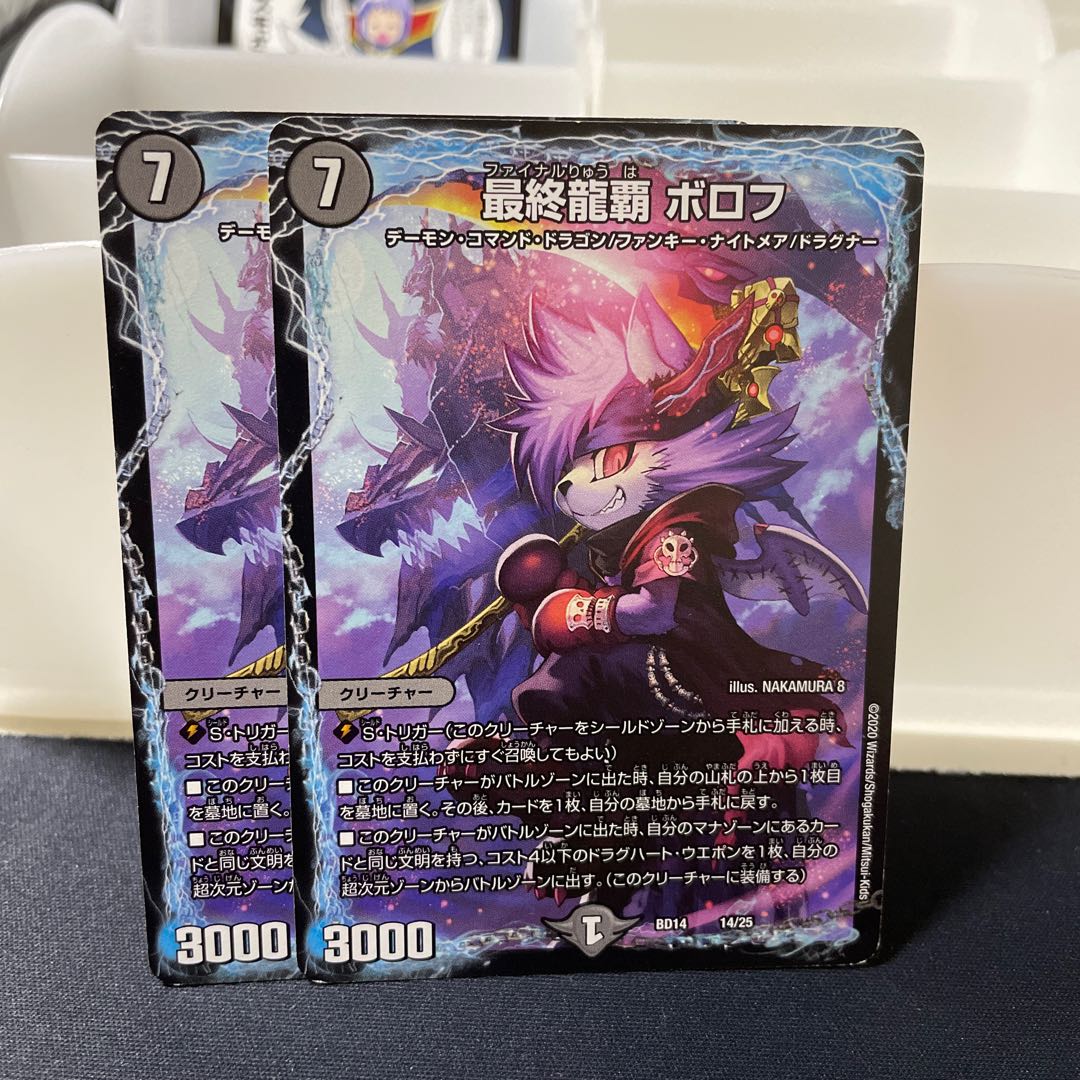 Final Dragon Heights Borov 14/25