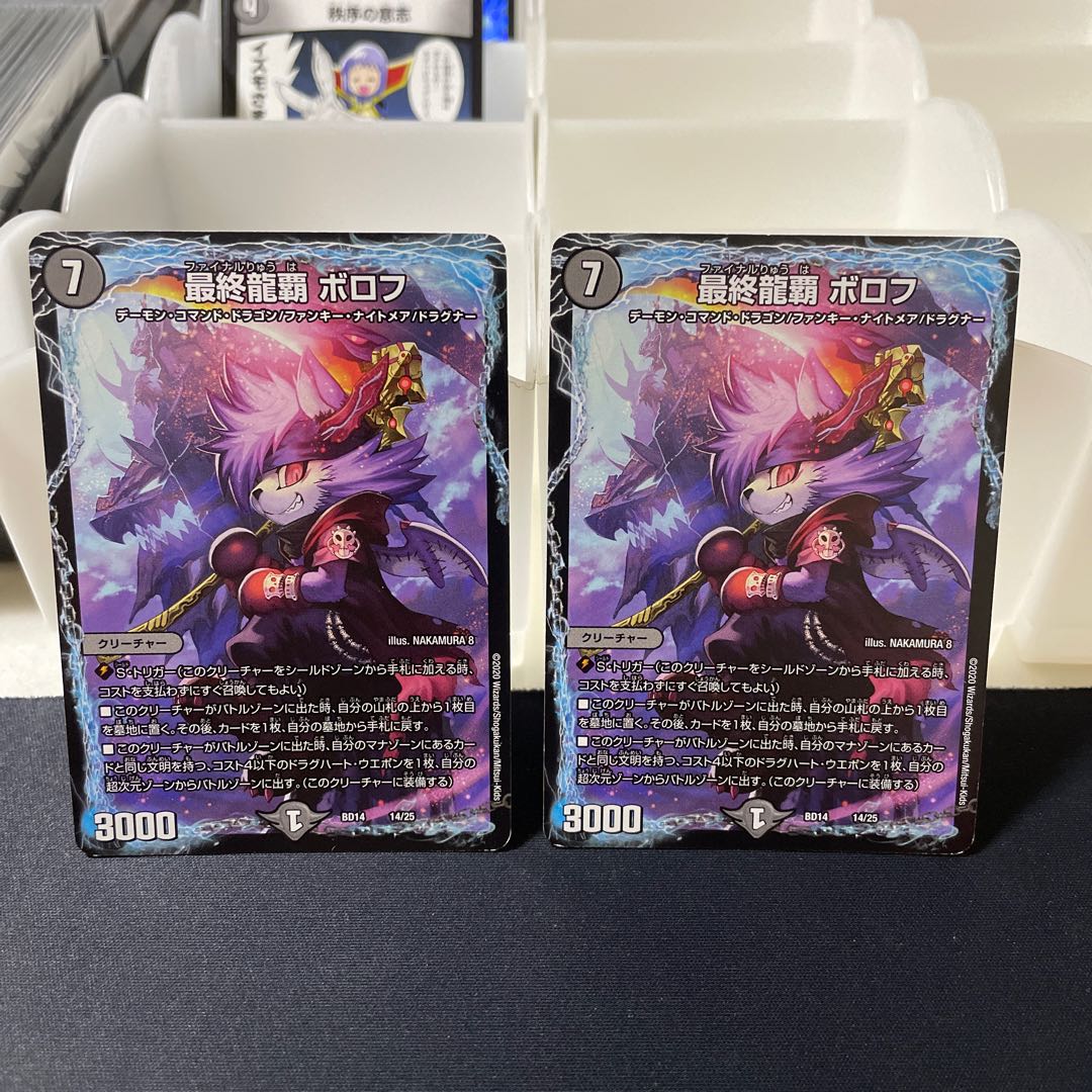 Final Dragon Heights Borov 14/25