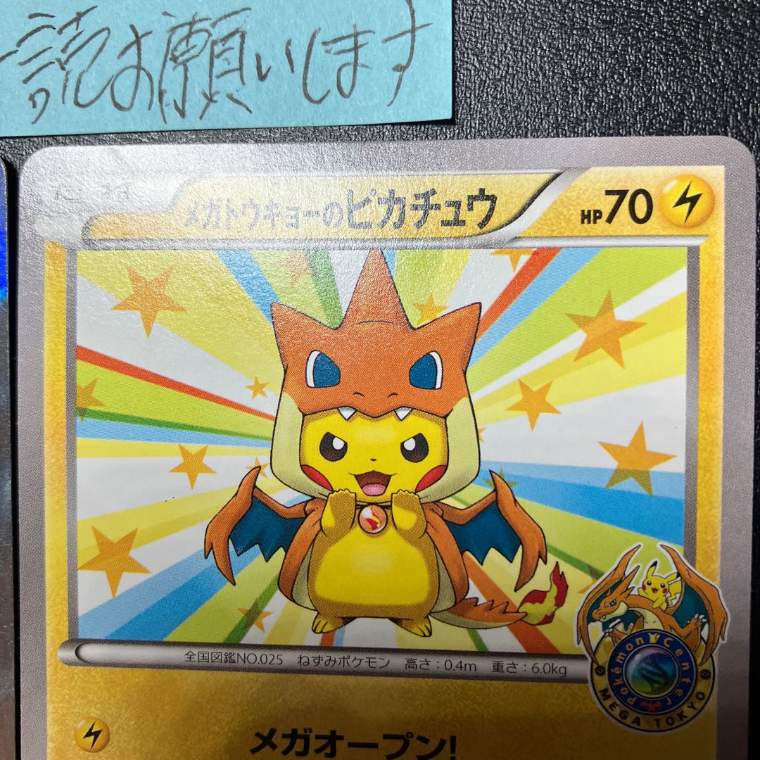 Pikachu in Touhoku Pikachu in Mega Tokyo