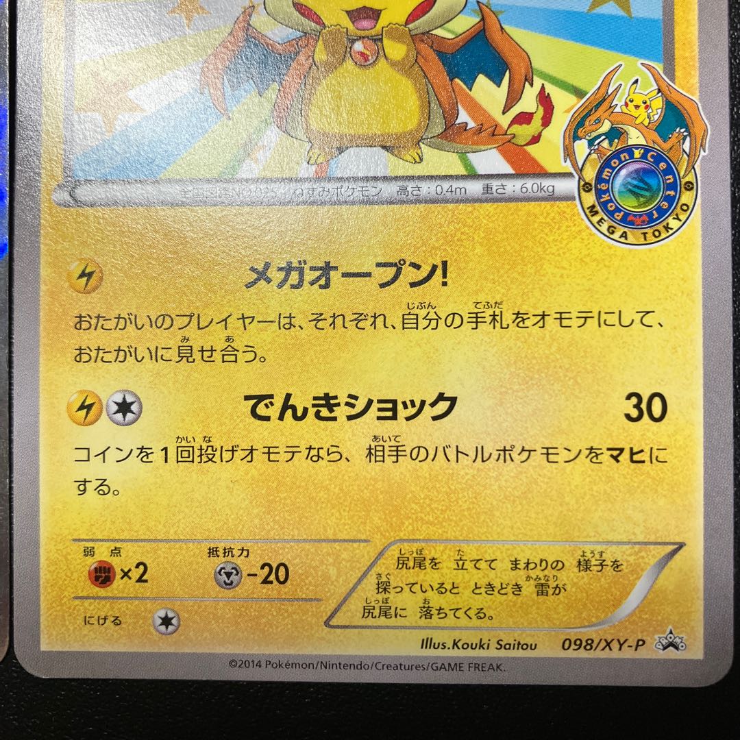 Pikachu in Touhoku Pikachu in Mega Tokyo