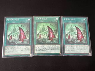 The disaster of the underground world Normal JP069