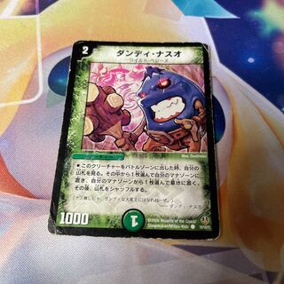 Dandy Naso C 19/19/Y5 1枚