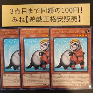 Rescue Ferret Rare JP029