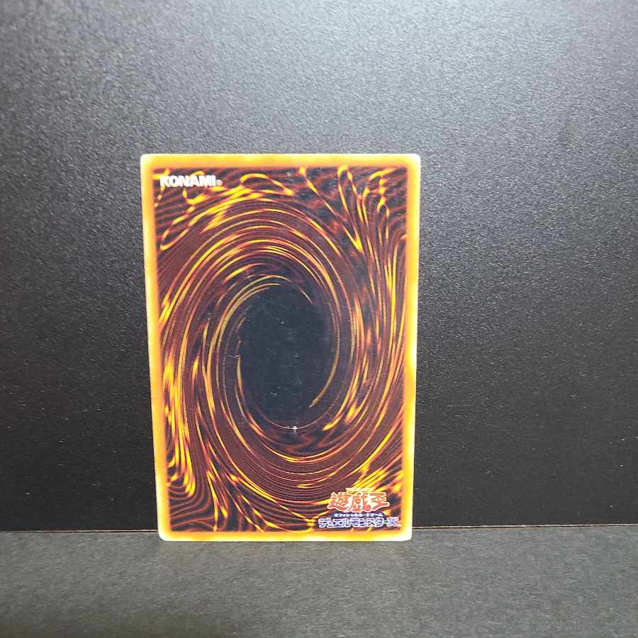 【初期ウルトラ】ハーピィの羽根帚