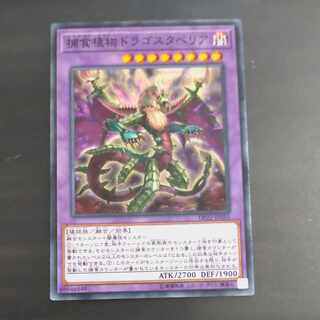 Predaplant Dragostapelia Normal JP053 [Mokurindo