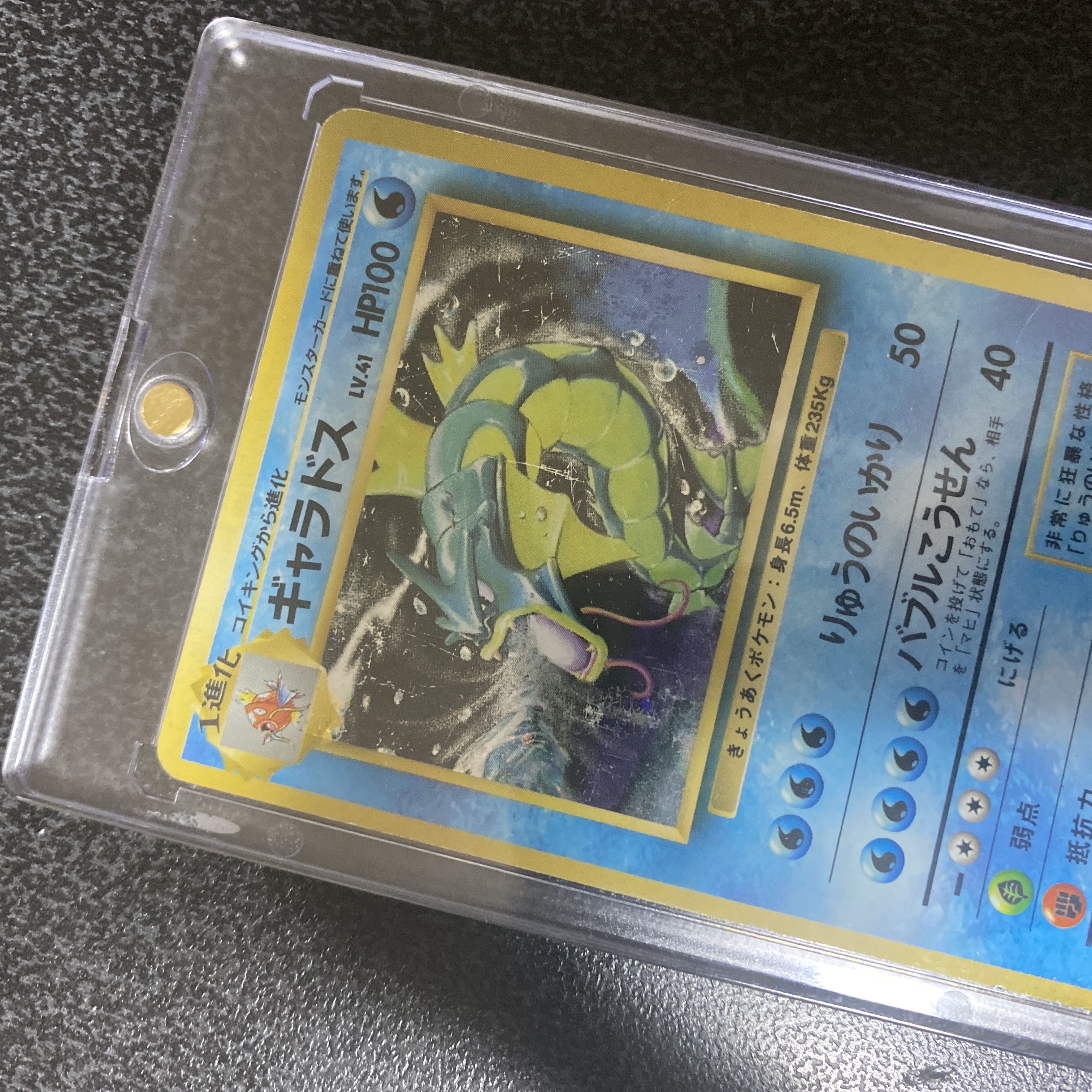 通販サイトへようこそ ギャラドス ポケカ 旧裏面 マークなし ポケモンカードゲーム ポケモンカードゲーム Www Cajoblaw Com