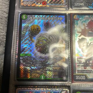 Lowest Price Life Life, Earth and Roaring Decision SR S12/S12