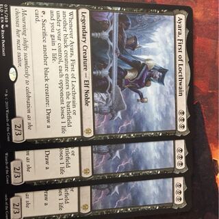 ロークスワインの元首、アヤーラ