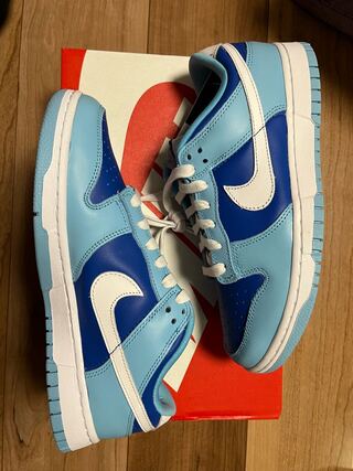 ナイキ ダンク ロー レトロ QS "アルゴン" (2022)24.5cm 24.5cm