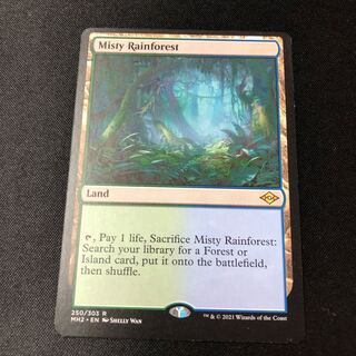 Misty Rainforest English Rare 250/303