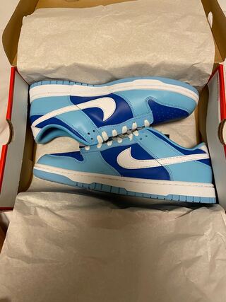 ナイキ ダンク ロー レトロ Qs "アルゴン" (2022) フラッシュ/ホワイト-アルゴン ブルー-フラッシュ DM0121-400 29cm