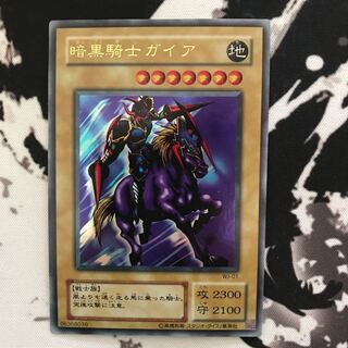 暗黒騎士ガイア