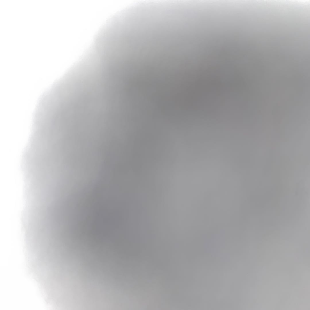 For the exclusive use of Mr. Shiota