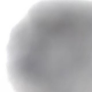 For the exclusive use of Mr. Shiota