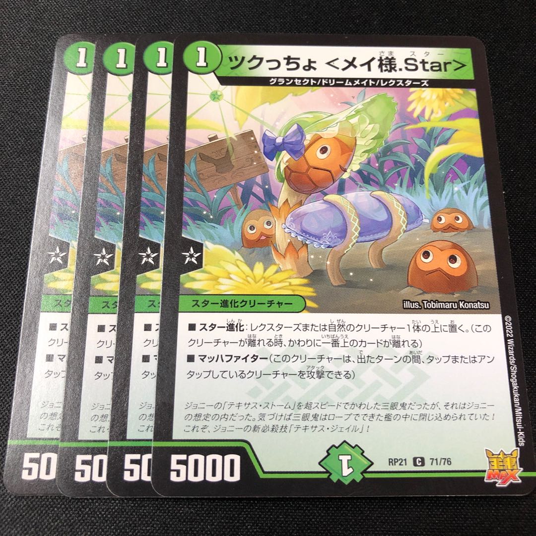 Tsukucho <Rosa-sama.Star> C 71/76 4 sheets