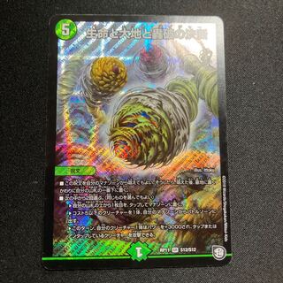 Life Life, Earth and Roaring Decision SR S12/S12