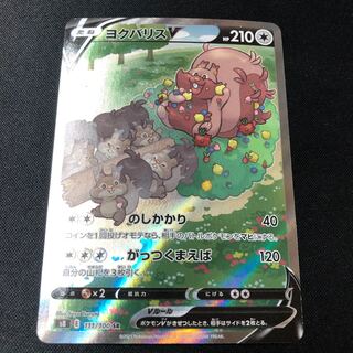 GreedentV SR SA 111/100