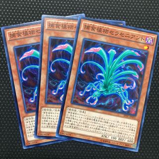 Predaplant Sarraceniant