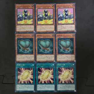 №13 Yu-Gi-Oh Gokipole Resonance Insect