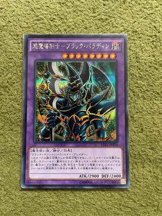 Psychic Mage Swordsman - Black Paladin Secret Rare JPY38