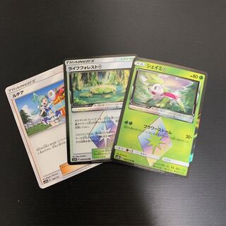 シェイミ　ライフフォレスト　ルチア