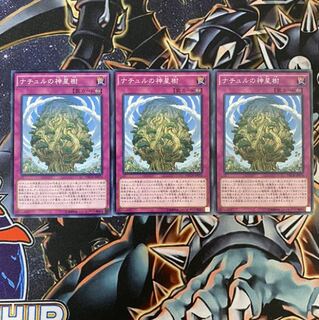 ナチュルの神星樹