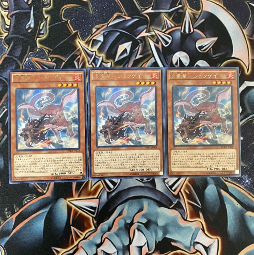 炎竜星シュンゲイ