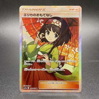 Erika's Hospitality SR 190/173