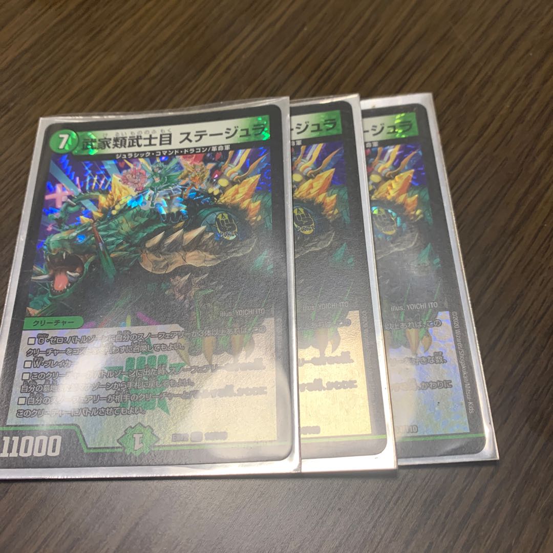 Samurai family Samurai order Stejura, VR 14/110.