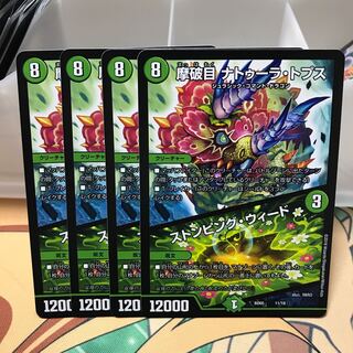 摩破目ナトゥーラトプス/ストンピングウィード