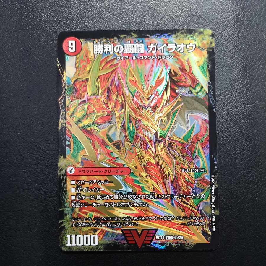 HaFighting Shoguryu Sword Gaiaobahn｜HaFighting Gaiaobahn for Victory