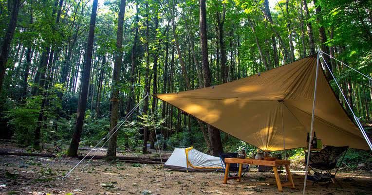 Guerrilla grab bag of 4-hour Deep Night Pokémon Cards