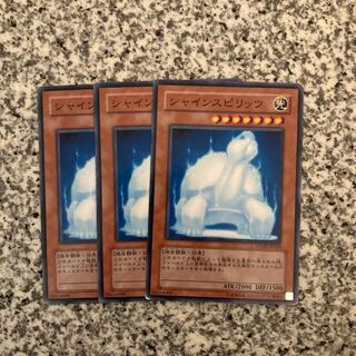 シャインスピリッツ