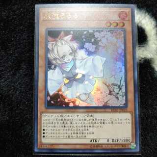 灰流うらら ウルトラ