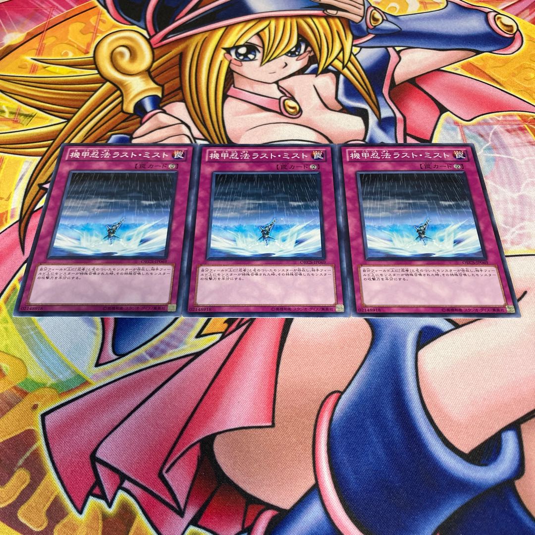 Armor Ninjitsu Art of Rust Mist flawed normal JP069